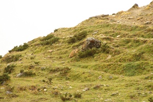 144 Dharamshala 08-09