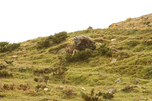 145 Dharamshala 08-09