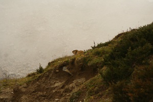 146 Dharamshala 08-09