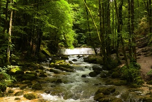 15 Jura-01JUIL24-14H16