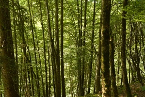 36 Jura-04JUIL24-16H06
