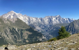 12 LacDArpy 15.07.22 10.32