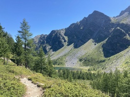 16 LacDArpy 15.07.22 11.01