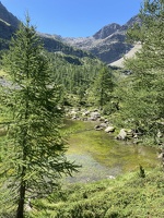 17 LacDArpy 15.07.22 11.12
