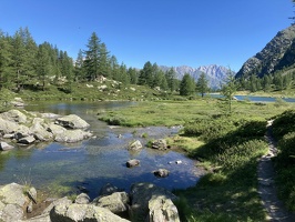 18 LacDArpy 15.07.22 11.14