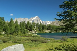 19 LacDArpy 15.07.22 11.26